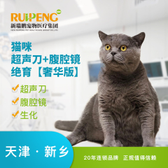 【新瑞鹏天津+新乡】犬猫腹腔镜+超声刀绝育术【奢华版】 猫咪绝育【奢华版】 0-5kg