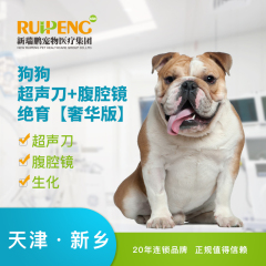 【新瑞鹏天津+新乡】犬猫腹腔镜+超声刀绝育术【奢华版】 狗狗绝育【奢华版】 0-5kg