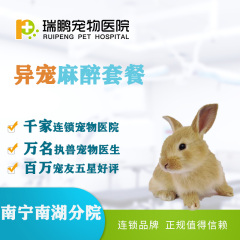 【瑞鹏南宁】异宠麻醉套餐