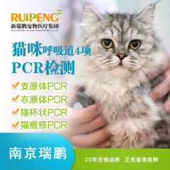 【南京瑞鹏】猫呼吸道四项PCR检测 猫咪 支原体+衣原体+杯状+疱疹
