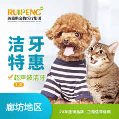 【新瑞鹏廊坊】犬猫超声洁牙套餐 犬猫通用 超声洁牙