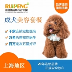 【阿闻上海】犬10送10美毛护肤浴（市区版） 3-6kg