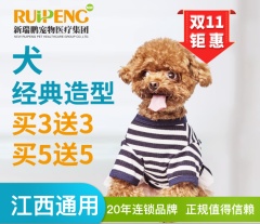 【鹰潭信江分院】新春特惠犬经典造型卡买3送2 犬经典造型3送2 3-6kg