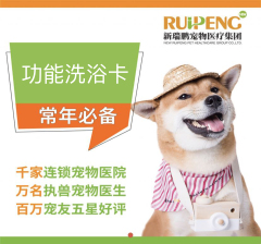 【无锡瑞鹏+安安+艾贝尔】美毛护肤浴卡（犬10送5，猫5送2） 10-15kg犬
