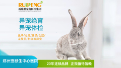 南昌芭比堂二七路、郑州中心异宠组团绝育套餐、体检套餐 年度B体检活动(含生化全套)郑州使用