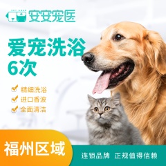 【安安宠医福州】爱宠喵星人6次洗澡套餐 猫咪洗浴＜10kg 长毛