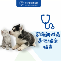 【杭州芭比堂】家庭新成员基础健康检查 猫