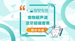 【厦门安安】【孕宠】安心包（2个月无限次B超） 犬猫通用 孕检B超+X光
