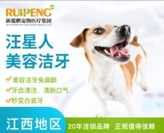 【江西通用】新春超值美容洁牙 美容洁牙 犬0-10kg
