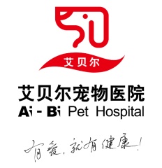 【异宠】兔子年度体检 兔子