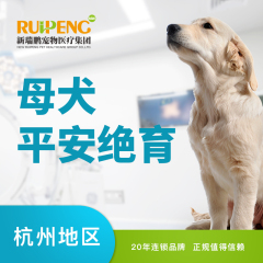 【杭州】狗狗母犬麻醉吸入绝育术 尊享版