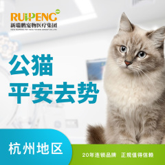 【杭州】公猫平安麻醉吸入去势术 尊宠版