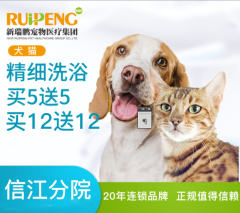 【鹰潭信江分院开业特惠】新春特惠犬猫洗浴卡充5送5、12送12 长毛5送5 0-3kg