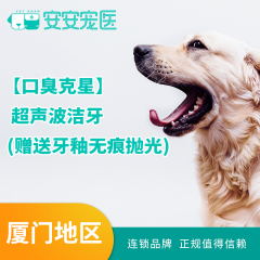 【厦门安安】【口臭克星】超声波洁牙
