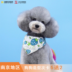 【南京通用】宠物（犬）造型7次卡 狗狗美容 0-3kg