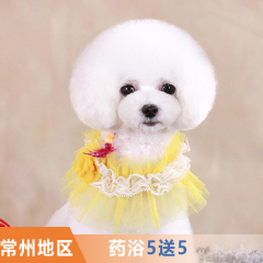 【常州】药浴买5送5 猫咪