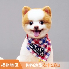 【扬州艾贝尔、宠颐生】新春犬造型6次卡 狗狗 0-3kg