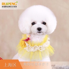 【阿闻上海】犬经典造型单次卡（郊区版） W≥40