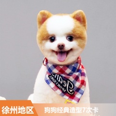 【徐州安安】新春狗狗经典造型7次卡 15-20kg