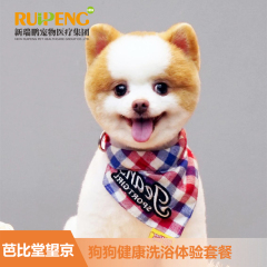 【新春】【望京】狗狗洗澡体验套餐 狗狗 0-10kg