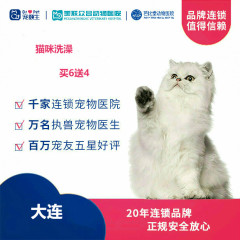 新春【新瑞鹏-东北区】大连-猫咪洗澡次卡6送4 短毛猫
