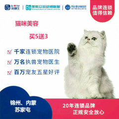 新春【新瑞鹏-东北区】锦苏内-猫咪美容次卡5送3 短毛猫