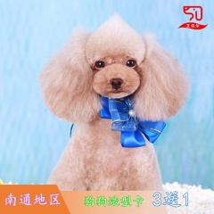 【南通艾贝尔】狗狗美容造型4次卡 狗狗美容 0-3kg