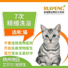 【扬州艾贝尔、宠颐生】新春（猫）精细洗浴7次卡 猫咪精洗 2≤W<5（长毛）