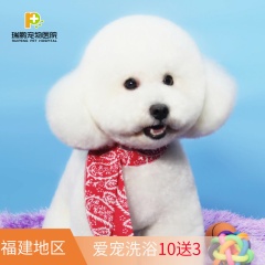 【瑞鹏福州】爱宠狗狗洗澡10送3  5送1 犬普洗10送3 3-6kg
