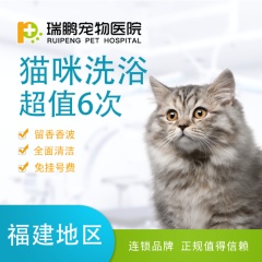 【瑞鹏福州】爱宠喵星人6次洗澡套餐 猫咪洗浴＜10kg 短毛猫咪