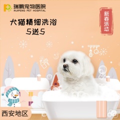 【西安】犬猫精细洗浴套卡 5送5 短毛猫：2-5kg