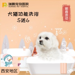 【西安】犬猫功能洗浴套卡 5送6 猫：2-5kg（短）