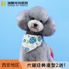 【阿闻西安】犬经典造型套卡 买2送1 2送1 犬：6-10kg