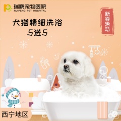 【西宁】犬猫精细洗浴套卡 5送5 犬：6-10kg