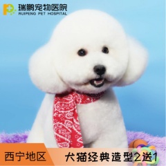 【西宁】犬经典造型套卡 2送1 犬：3-6kg