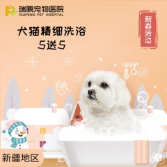 【阿闻新疆新店专享】犬猫精细洗浴套卡 5送5 5送5 短毛猫：＞8kg