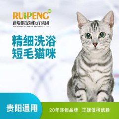 【新春】【贵阳瑞鹏】猫咪精细洗浴  5送2 长毛 2-5 kg