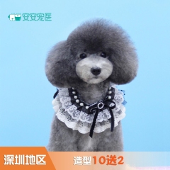 【深圳安安】造型10送2 犬：6-10kg