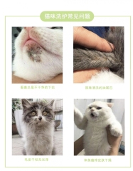 【新瑞鹏-广佛】猫止痒又祛油（hnrpmr011） 猫祛油 短毛