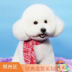 【郑州瑞鹏新店专属】犬/猫经典造型买3送3 犬猫经典造型买3送3 狗3-6kg