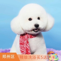 【郑州瑞鹏新店专属】犬/猫基础洗浴  买5送5 犬/猫基础洗浴买5送5 3-6kg狗狗