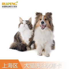 【阿闻上海】犬5次/猫3次洗浴优惠卡（高价版） 犬3-6kg