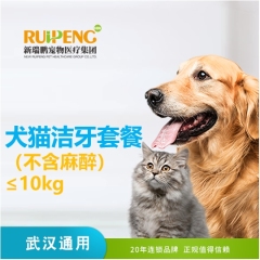 【武汉区域】洁牙套餐（不含麻醉） 狗狗 0-10kg