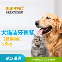 【武汉区域】洁牙套餐（含麻醉） 狗狗 0-5KG