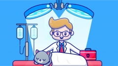 【安徽瑞鹏揽湖分院】猫咪绝育——新店开业专享 公猫绝育 0-5kg