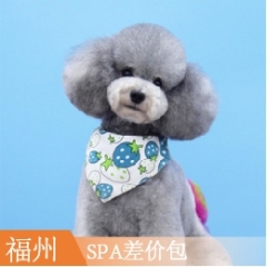 【福泉】犬（SPA）多层毛差价包 犬多层/超长毛差价包 3送2