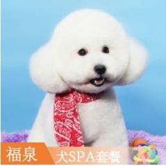 【福泉】犬SPA套餐 犬碳酸SPA 5送5 3-6kg