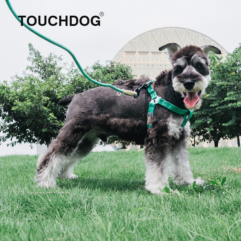 Touchdog 宠物遛狗绳 2013YZH004 绿色-M（圆牵绳+胸背）
