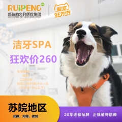 【苏皖阿闻】美容洁牙SPA口腔护理轻度套餐（无锡，徐州，安徽） 犬-中度-10KG以上