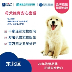 【新瑞鹏-东北】母犬绝育安心套餐 母犬呼吸麻醉【10kg以内】